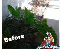 above_and_beyond_drains_and_plumbing-7.jpg