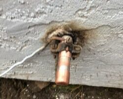 ars_neighborhood_rooter_and_plumber-21.jpg