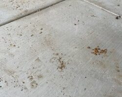 asap_drain_guys_and_plumbing-15.jpg
