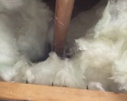 blue_bear_plumbing_and_drain-20.jpg