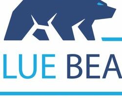 blue_bear_plumbing_and_drain-22.jpg