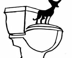 chihuahua_plumbing_national_city_2-1.jpg