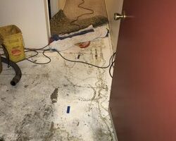 cpl_cable_pipe_and_leak_detection_el_cajon_9-17.jpg