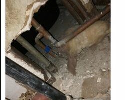 cpl_cable_pipe_and_leak_detection_el_cajon_9-19.jpg