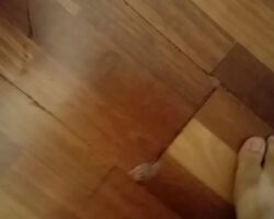 drainhelp_com_el_cajon_4-15.jpg