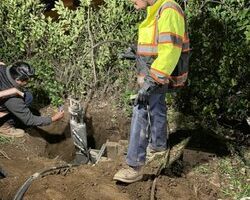 ez_sewers_rooter_and_plumbing-19.jpg