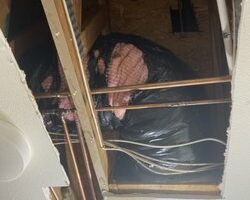 plumber_near_me_s_d_santee-21.jpg
