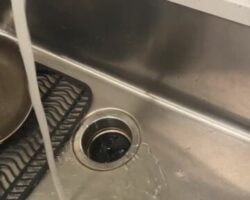 true_value_plumbing_chula_vista-19.jpg
