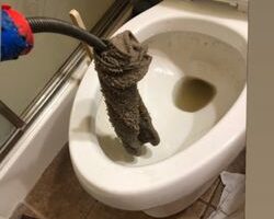 vip_sewer_and_drain_services_inc-10.jpg
