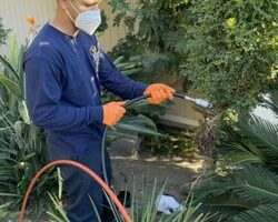 vip_sewer_and_drain_services_inc-13.jpg