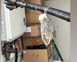 vip_sewer_and_drain_services_inc-24.jpg