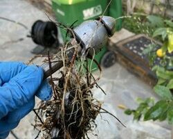 vip_sewer_and_drain_services_inc-6.jpg